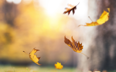 Body Grief Is Real: Here’s Your Roadmap for Healing