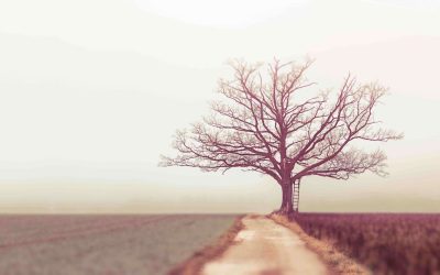 Transform Loneliness Into Solitude