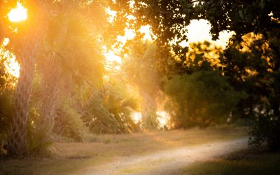 From Confusion to Clarity: Navigating Trauma Bonds with Awareness